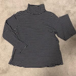 Excellent condition J.Jill Luxe Supima Turtleneck